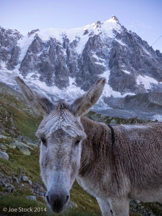Climbing and Flying the Frendo Spur, Chamonix